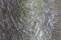 Church Street fibreglass roof work